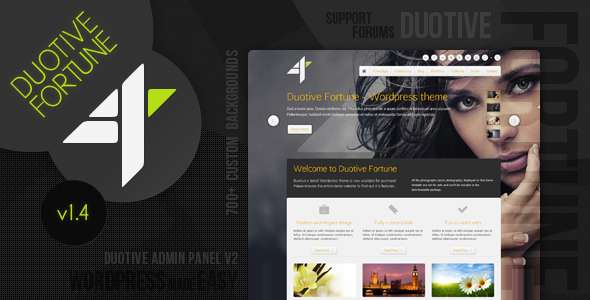 Duotive Fortune - WordPress Theme