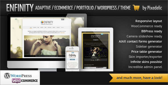 Enfinity - Adaptive Ecommerce Portfolio WP theme