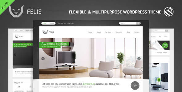 Felis - Flexible & Multipurpose WordPress Theme