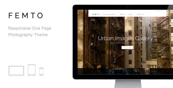 Femto - Responsive One Page Photography Theme