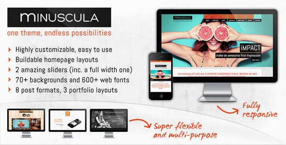 Minuscula | Minimalist and Flexible WP Theme