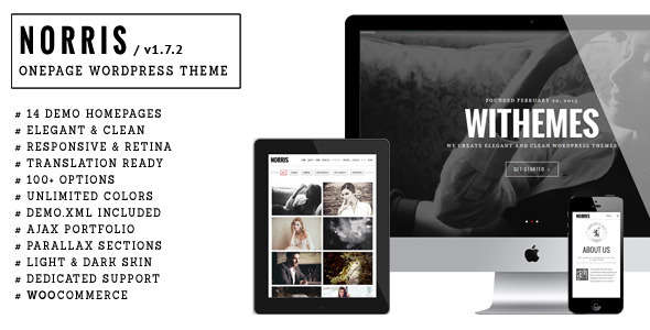 Norris - Elegant Onepage WordPress Theme