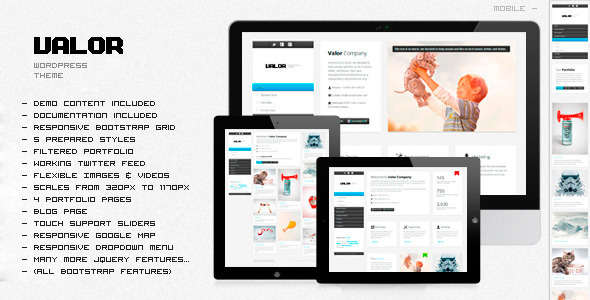 Valor responsive WordPress Theme