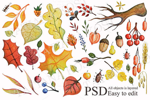 Autumn leaves, berries,branches set