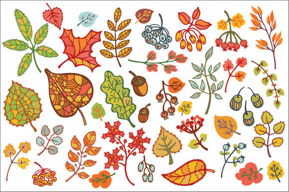 Autumn leaves set. Vector Clipart