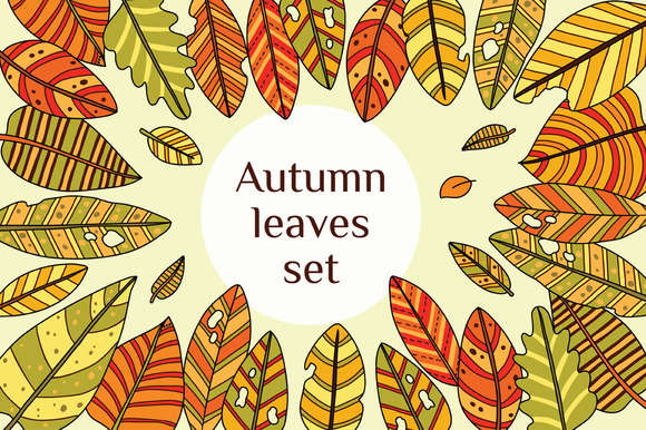 Autumn leaves