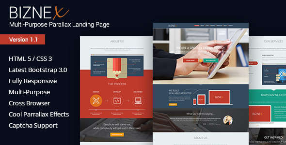 BizNex | Multi-Purpose Parallax Landing Page