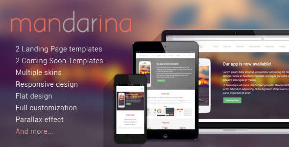 Mandarina, 4 in 1 Responsive Landing Page Template