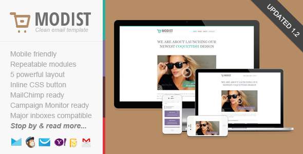 Modist, Responsive Fashion Email Template