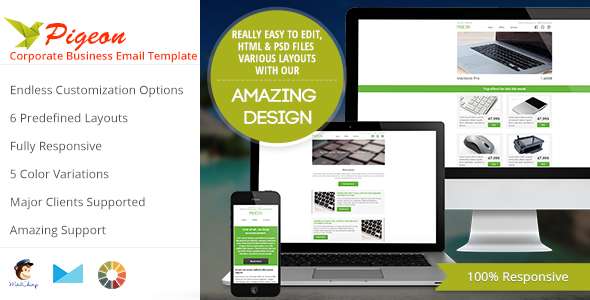 PIGEON - Business Email Template