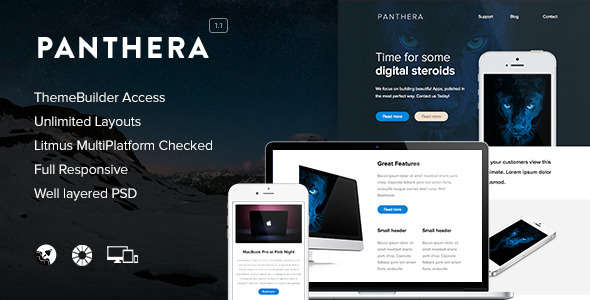 Panthera - Responsive Email + Themebuilder Access