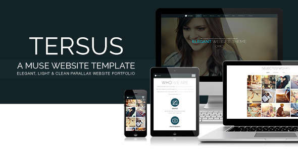 Tersus - Business Portfolio Parallax Muse Template