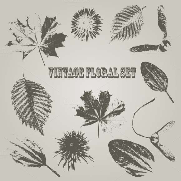 Vector Vintage Style Floral Elements