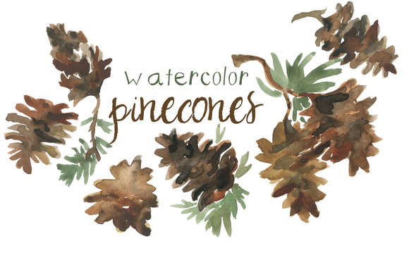 Watercolor Pinecones Clip Art