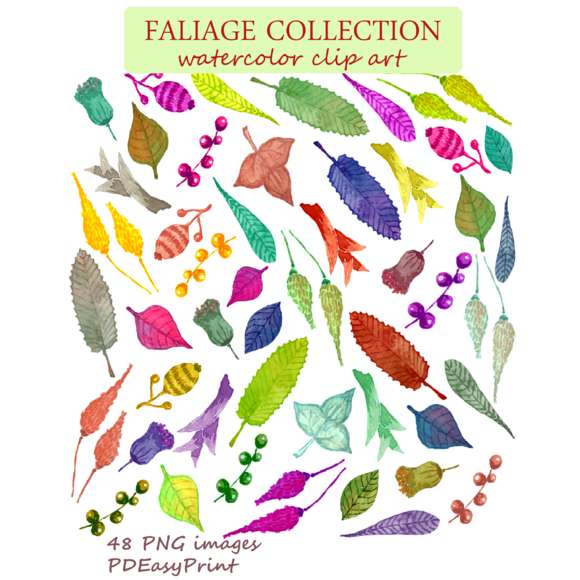 Watercolor leaves clipart, foliage