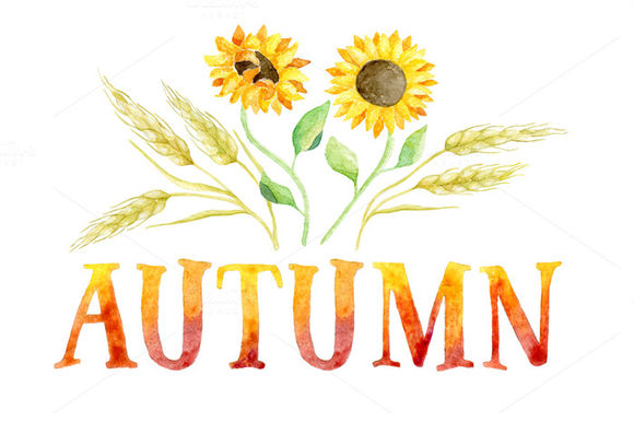 AUTUMN Greeting Cards by HelgaWigandt is available from CreativeMarket for $4.