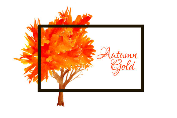 Autumn Gold Trees by Rasveta is available from CreativeMarket for $8.