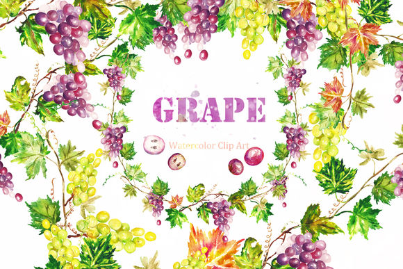 Grape Watercolor Clip Art by LABFcreations is available from CreativeMarket for $8.