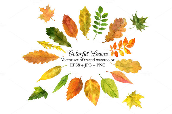 Set Of Colorful Watercolor Leaves by Cat_arch_angel is available from CreativeMarket for $5.