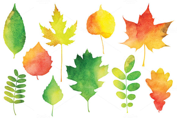 Vector Watercolor Leaves by PaperCards is available from CreativeMarket for $12.