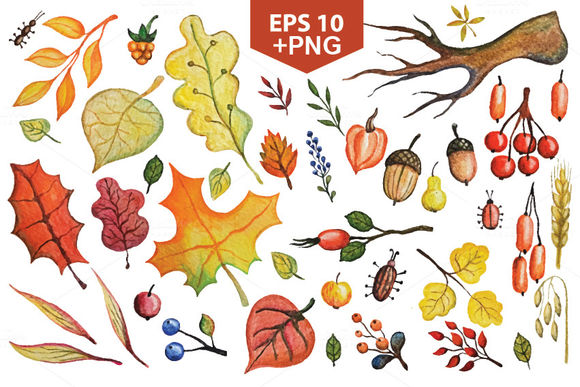 Vector Autumn Leaves by TatianaKostdesign is available from CreativeMarket for $8.