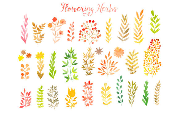Vector Watercolor Leaf Set by Markovka is available from CreativeMarket for $4.