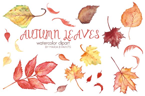 Watercolor Clip Art by MariaB.Paints is available from CreativeMarket for $10.