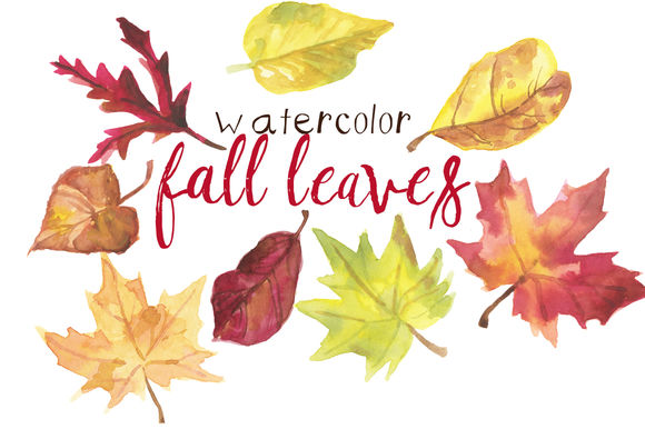 Watercolor Fall Leaves by DigitalPressCreation is available from CreativeMarket for $18.