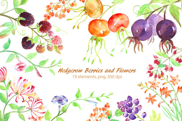 Watercolor Hedgerow Clipart by CornerCroft is available from CreativeMarket for $6.