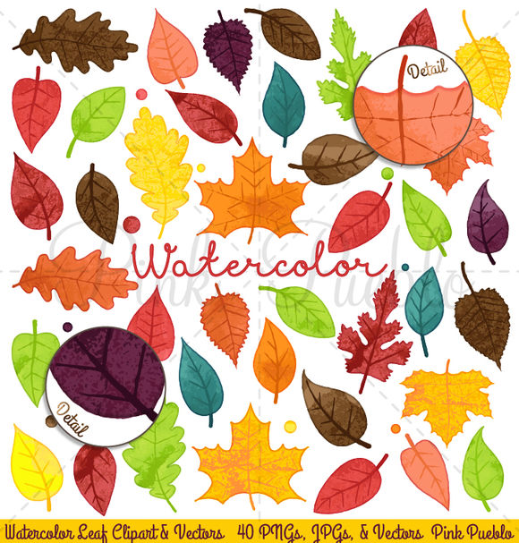 Watercolor Leaves Clipart And Vectors by PinkPueblo is available from CreativeMarket for $6.