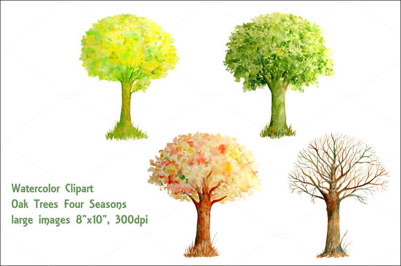 Watercolor Oak Tree Four Seasons by CornerCroft is available from CreativeMarket for $5.