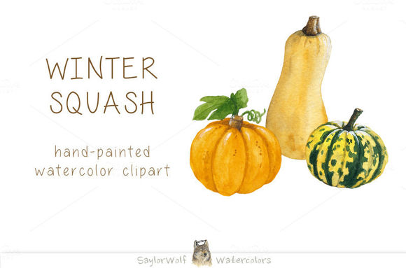Watercolor Pumpkin And Winter Squash by SaylorWolfWatercolors is available from CreativeMarket for $8.