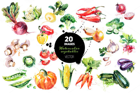 Watercolor Vegetables Vector by ElenaPimonova is available from CreativeMarket for $20.