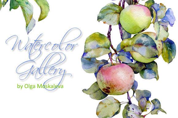 Watercolor Apples by OlgaMoskaleva is available from CreativeMarket for $10.