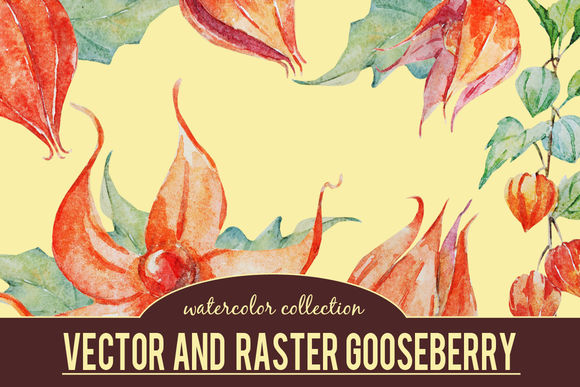 Watercolor Gooseberry by LembrikArtworks is available from CreativeMarket for $9.