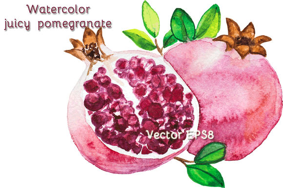 Watercolor Juicy Fruit Pomegranate by Wedphoto is available from CreativeMarket for $7.