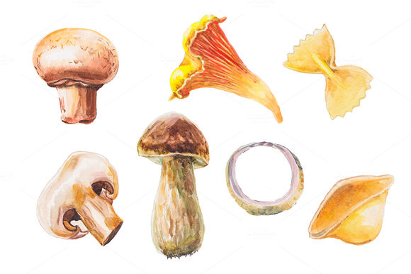 Watercolor Mushrooms Collection by Lenavetka87 is available from CreativeMarket for $8.