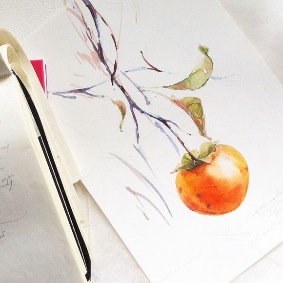Watercolor Persimmon by NataliaTyulkina is available from CreativeMarket for $9.