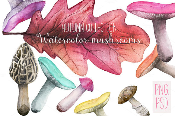 Watercolor Set Mushrooms by SpasibenkoArt is available from CreativeMarket for $15.