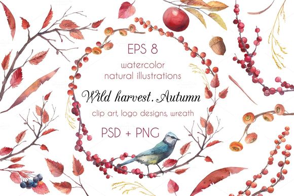 Wild Harvest by Eisfrei is available from CreativeMarket for $12.