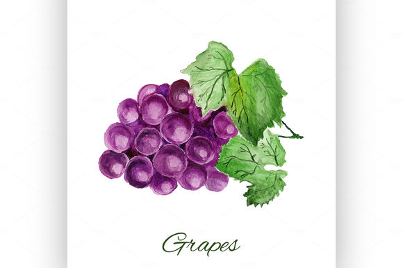 Grapes by Netkoff is available from CreativeMarket for $5.