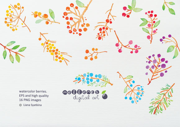 Watercolor Berries by Mellenes is available from CreativeMarket for $7.
