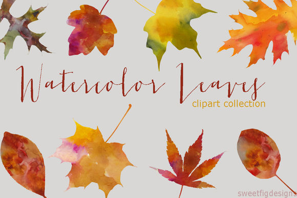Watercolor Leaves Clipart Collection by Cherylwarrick is available from CreativeMarket for $14.