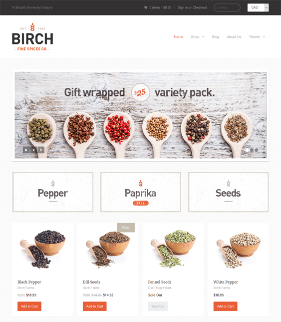 providence clean shopify themes