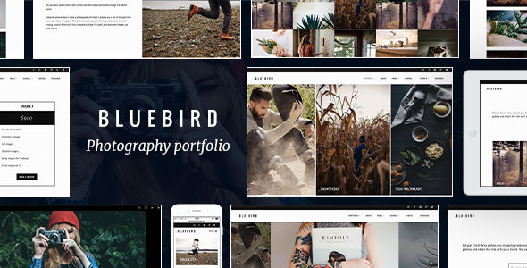 Bluebird by ThemeVillage (WordPress theme)