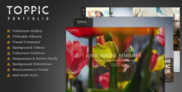 TopPic by Kotofey (WordPress theme)