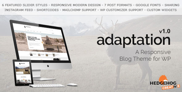 Adaptation by HedgehogCreative (video blog WordPress theme)