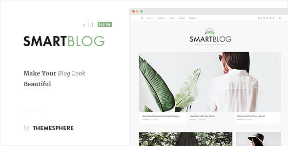 Blog Theme by ThemeSphere (video blog WordPress theme)