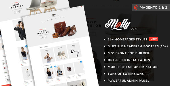 Molly by ArrowHiTech (Magento theme)