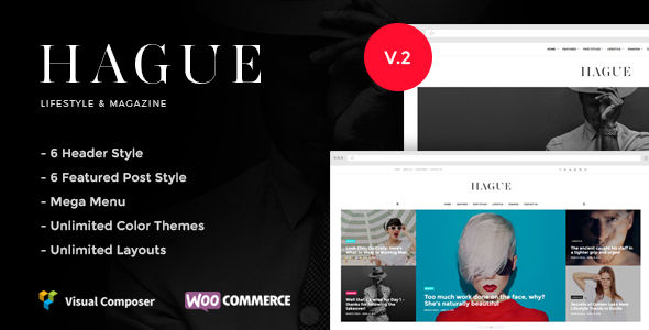 Hague by Evolle (magazine WordPress theme)